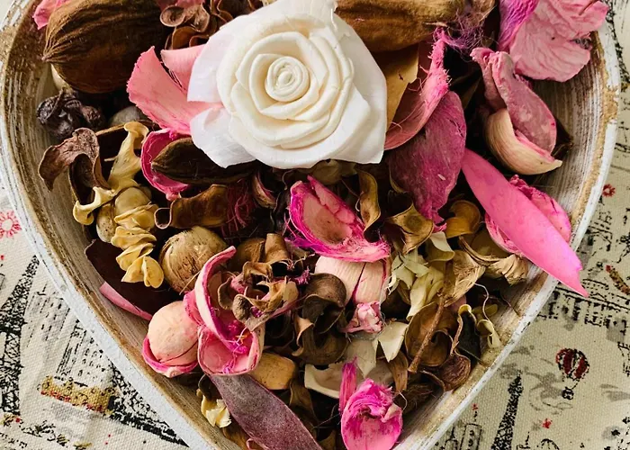 Daire Kiwi Gardens *