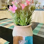 Appartement Kiwi Gardens Byala (Varna)