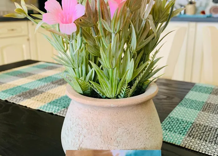 Lejlighed Kiwi Gardens Byala (Varna)